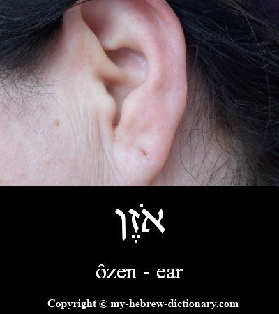 ear in Hebrew