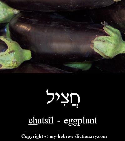 eggplant in Hebrew