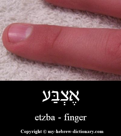 finger in Hebrew