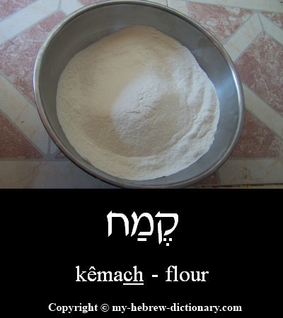 flour in Hebrew
