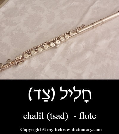 flute in Hebrew