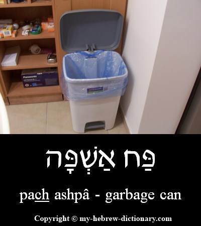 garbage can in Hebrew