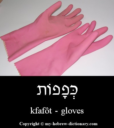 gloves in Hebrew