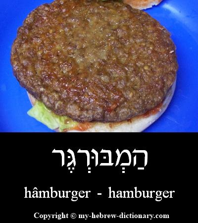 hamburger in Hebrew
