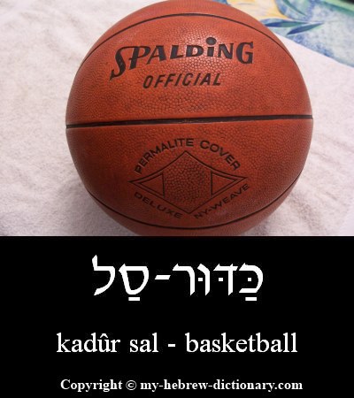 basketball in Hebrew