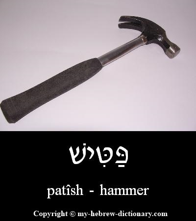 hammer in Hebrew