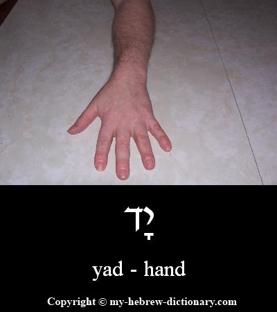 hand in Hebrew