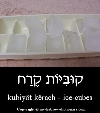 ice-cubes in Hebrew