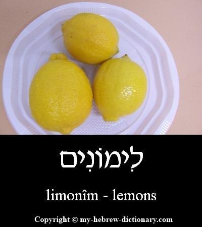 lemons in Hebrew