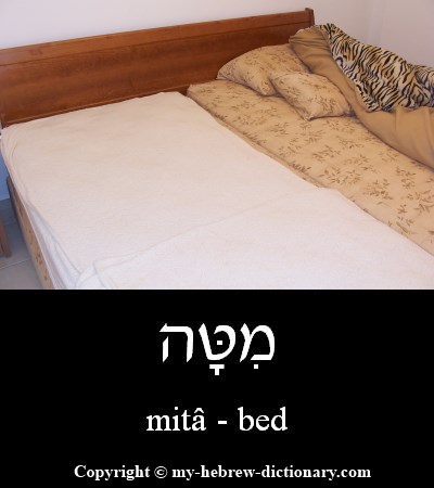 bed in Hebrew