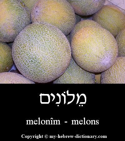melons in Hebrew