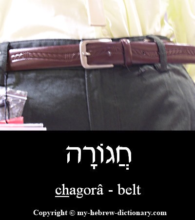 belt in Hebrew