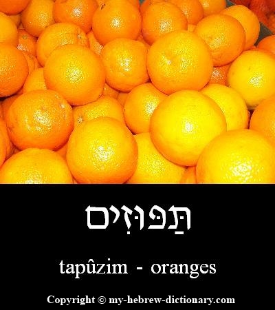 oranges in Hebrew
