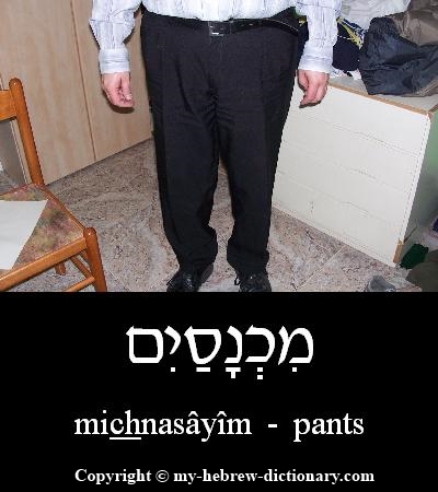 pants in Hebrew