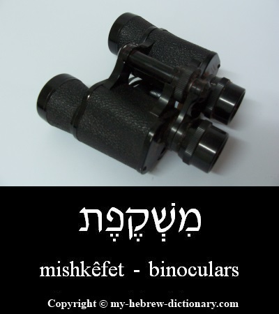 binoculars in Hebrew