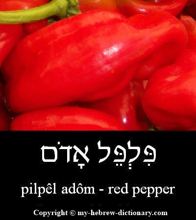 pepper in Hebrew