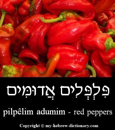 peppers in Hebrew