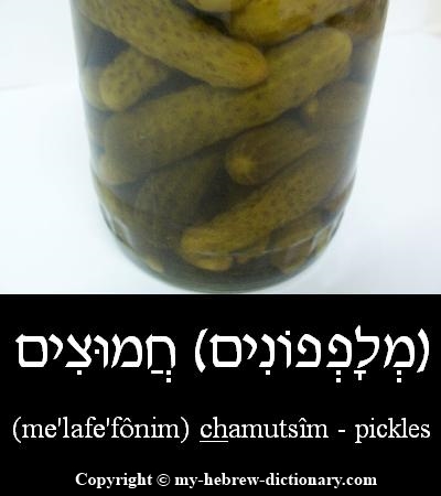 pickles in Hebrew