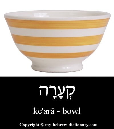 bowl in Hebrew