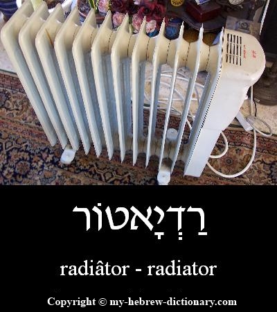 radiator in Hebrew