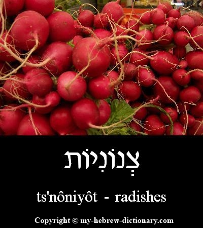 radishes in Hebrew