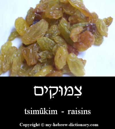raisins in Hebrew