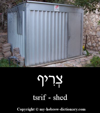 shed in Hebrew