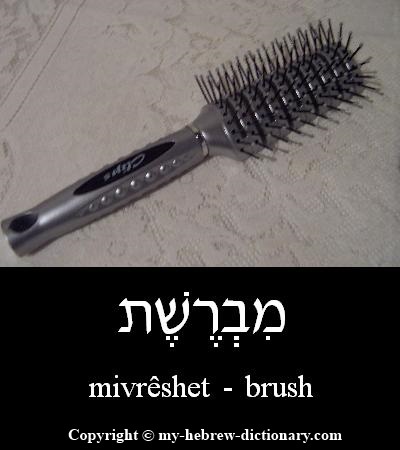 brush in Hebrew