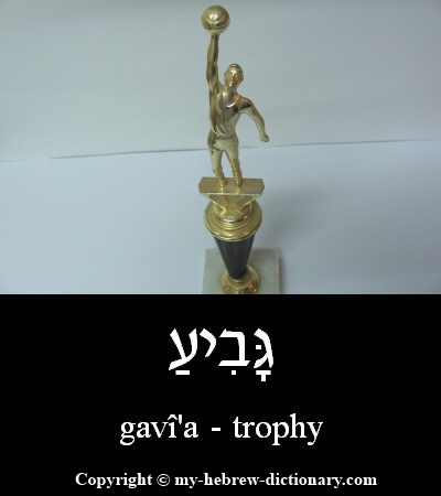 trophy in Hebrew
