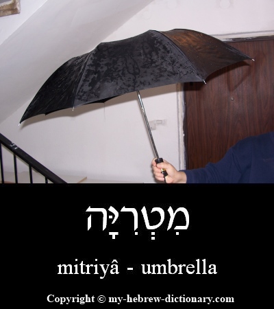 umbrella in Hebrew