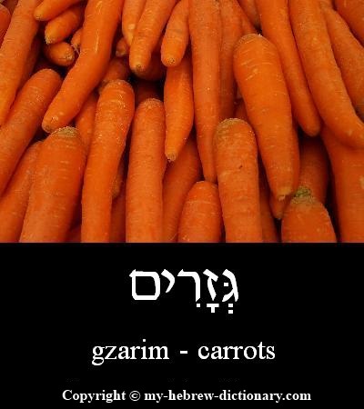 carrots in Hebrew