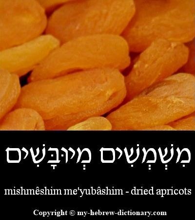 apricots in Hebrew