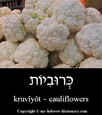 cauliflowers in Hebrew
