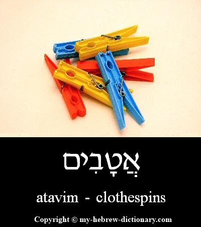 clothespins in Hebrew