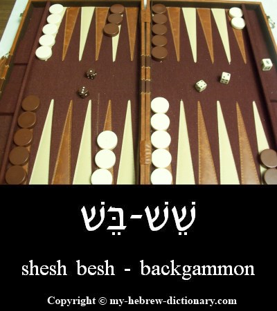 backgammon in Hebrew