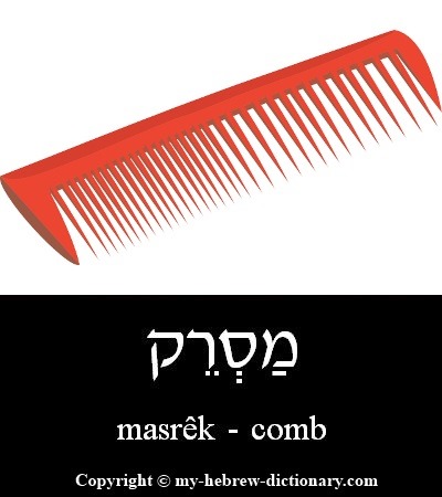 comb in Hebrew