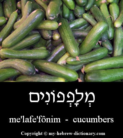 cucumbers in Hebrew