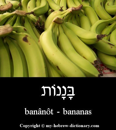 Bananas in Hebrew