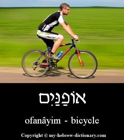 Bicycle in Hebrew