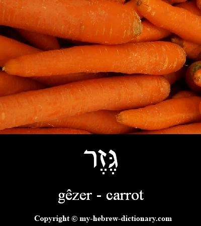 Carrot in Hebrew