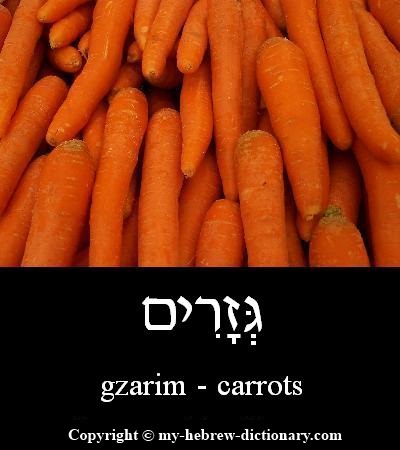 Carrots in Hebrew