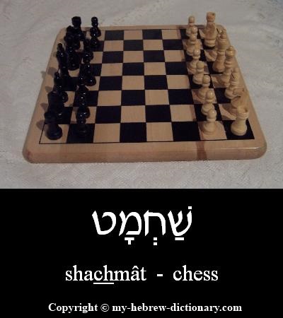 Chess in Hebrew