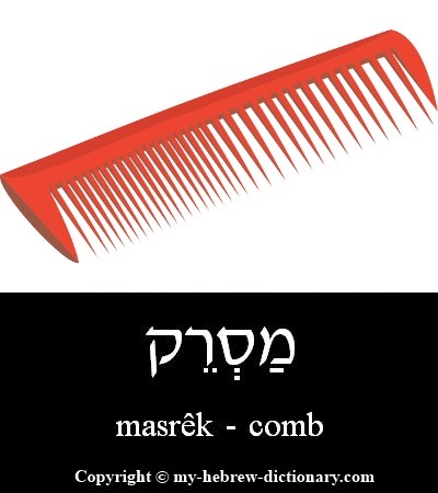 Comb in Hebrew
