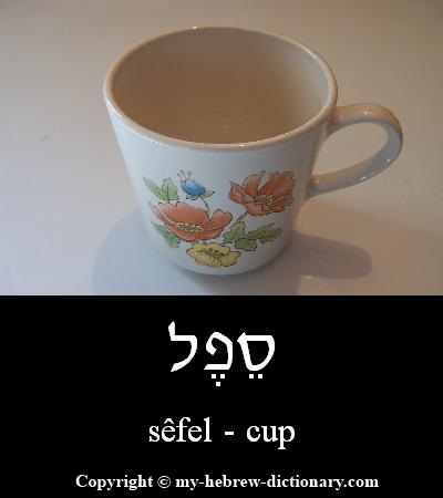Cup in Hebrew