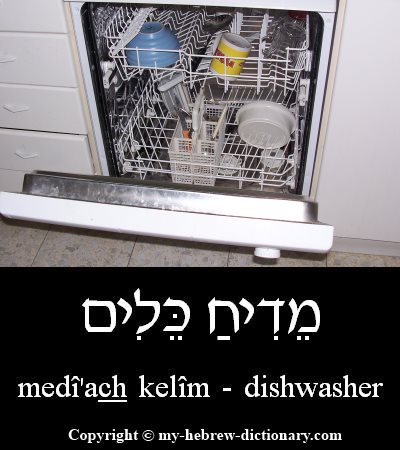 Dishwasher in Hebrew