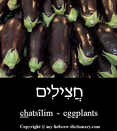 Eggplants in Hebrew