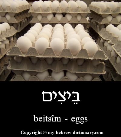 Eggs in Hebrew