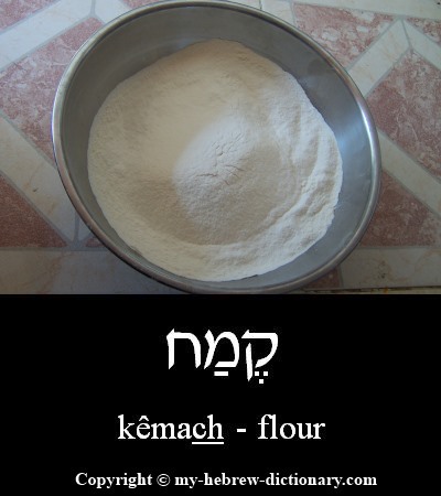Flour in Hebrew
