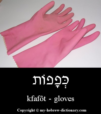 Gloves in Hebrew