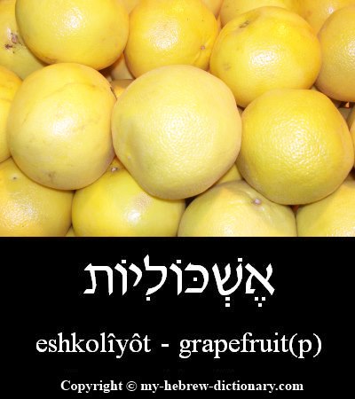 Grapefruits in Hebrew
